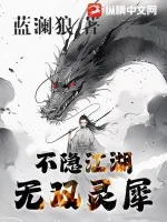 《不隐江湖无双灵犀》小说封面