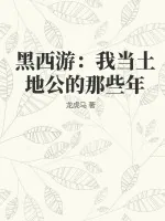 《黑西游：我当土地公的那些年》小说封面