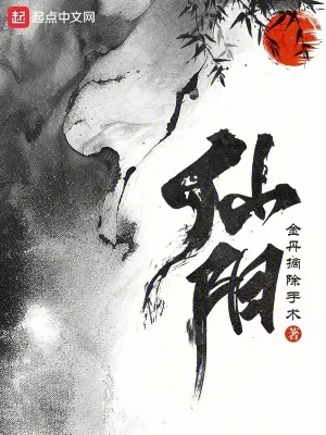 《仙阳》小说封面