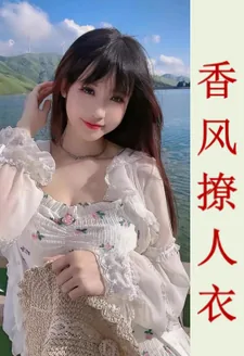 《香风撩人衣》小说封面