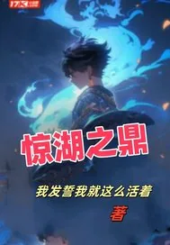 《惊湖之鼎》小说封面