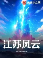 《江苏风云》小说封面
