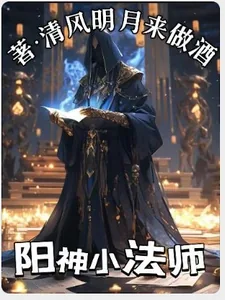 《阳神小法师》小说封面