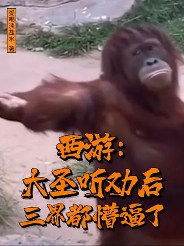 《西游：大圣听劝后，三界都懵逼了》小说封面