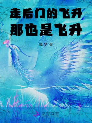 《走后门的飞升，那也是飞升！》小说封面