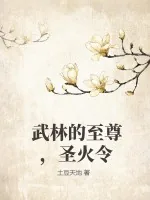 《武林的至尊，圣火令》小说封面