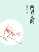 《两界无间》小说封面