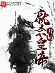 《开局就杀皇帝》小说封面