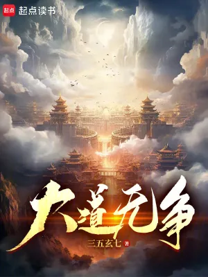 《大道无争》小说封面