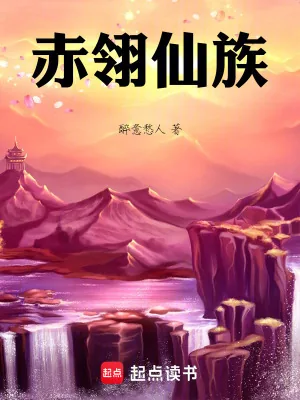 《赤翎仙族》小说封面