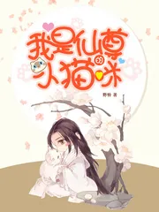 《我是仙尊的小猫咪》小说封面