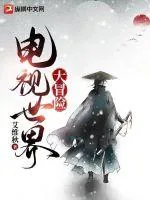 《电视世界大冒险》小说封面