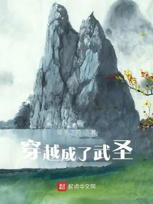 《穿越成了武圣》小说封面