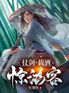 《仗剑，载酒，惊鸿客》小说封面