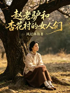 《赵老驴和杏花村的女人们》小说封面