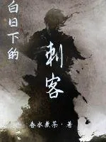 《白日下的刺客》小说封面