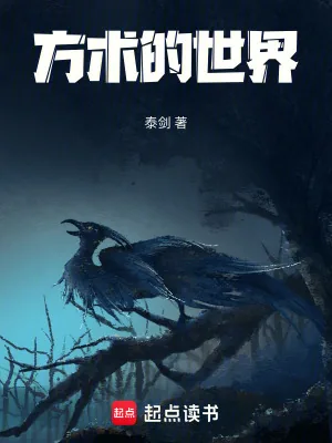 《方术的世界》小说封面