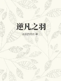 《逆凡之羽》小说封面
