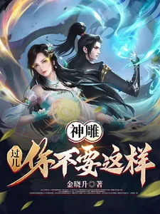 《神雕：过儿你不要这样》小说封面