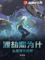 《渡劫期为什么还要写周报》小说封面