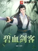 《碧血剑客》小说封面