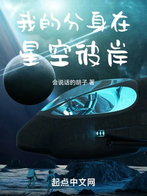 《我的分身在星空彼岸》小说封面