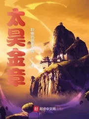 《太昊金章》小说封面
