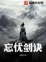 《忘忧剑诀》小说封面