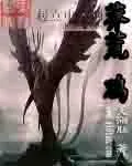 《莽荒纪》小说封面