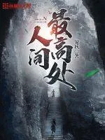 《人间最高处》小说封面