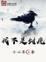 《我不是剑魔》小说封面