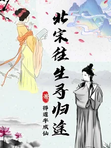 《北宋往生寻归途》小说封面