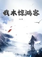 《我本惊鸿客》小说封面