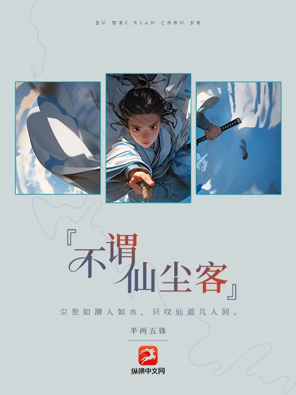 《不谓仙尘客》小说封面