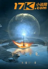 《宇宙之年龟》小说封面