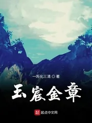 《玉宸金章》小说封面