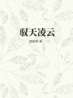 《驭天凌云》小说封面