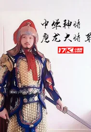 《中华神将:鹰龙大将军》小说封面