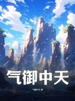《气御中天》小说封面