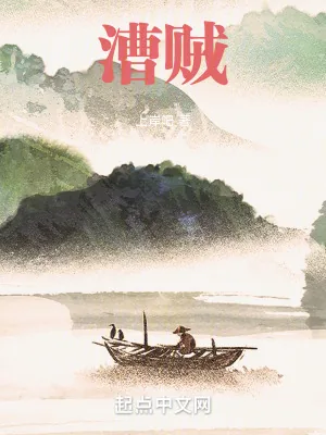 《漕贼》小说封面