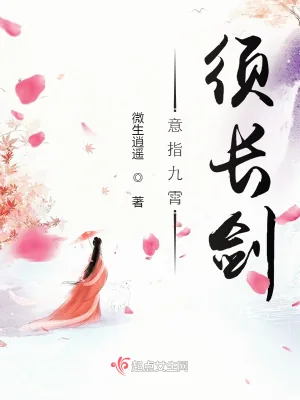 《意指九霄须长剑》小说封面