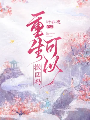 《重生可以撤回吗》小说封面