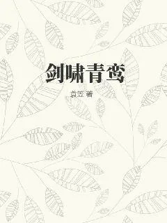 《剑啸青鸾》小说封面