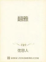 《翻雅》小说封面