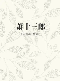 《萧十三郎》小说封面