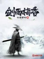 《剑雨梅香》小说封面