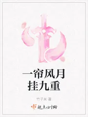 《一帘风月挂九重》小说封面