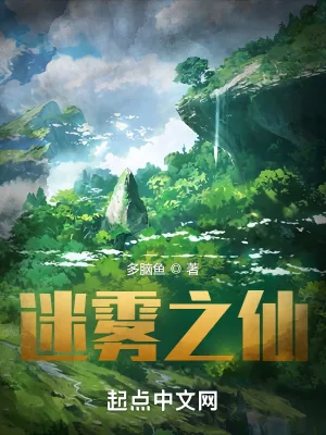 《迷雾之仙》小说封面