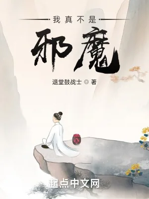 《我真不是邪魔》小说封面