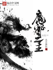 《魔邪之主》小说封面